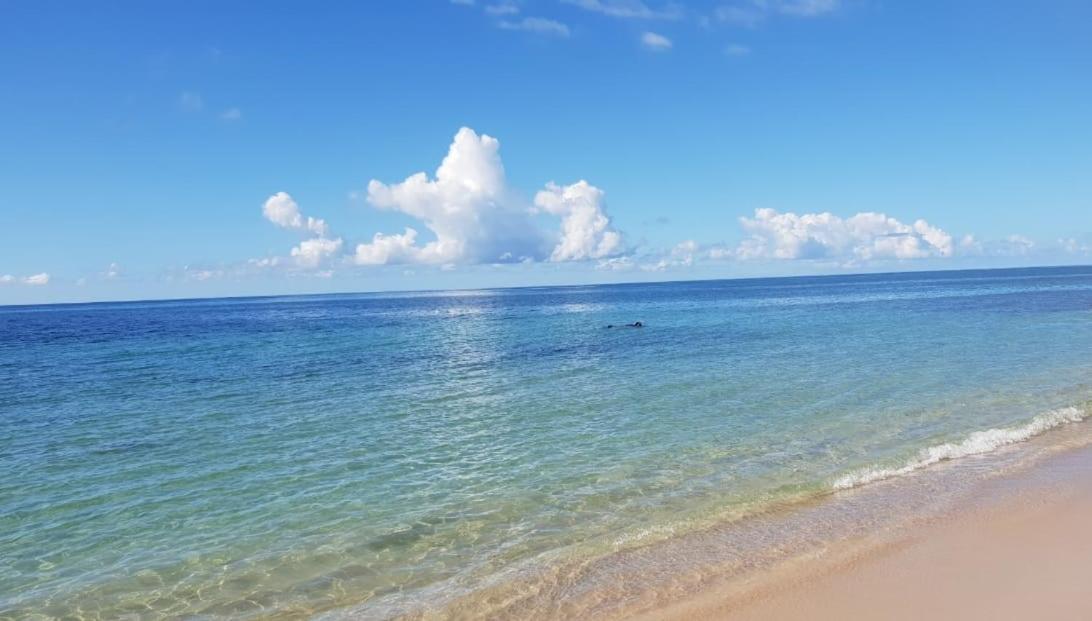 Appartement Paradisiaque Entre Hammamet Et ナブール エクステリア 写真